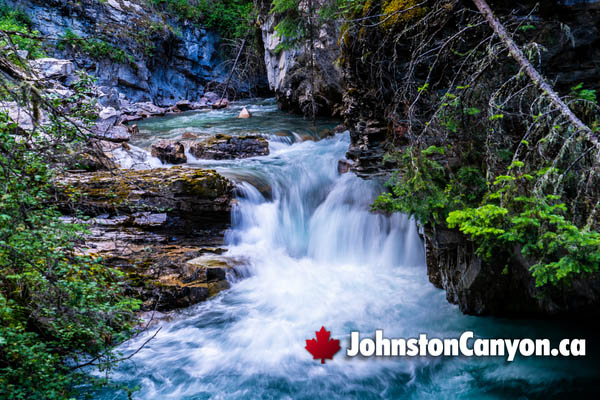  Johnston Canyon